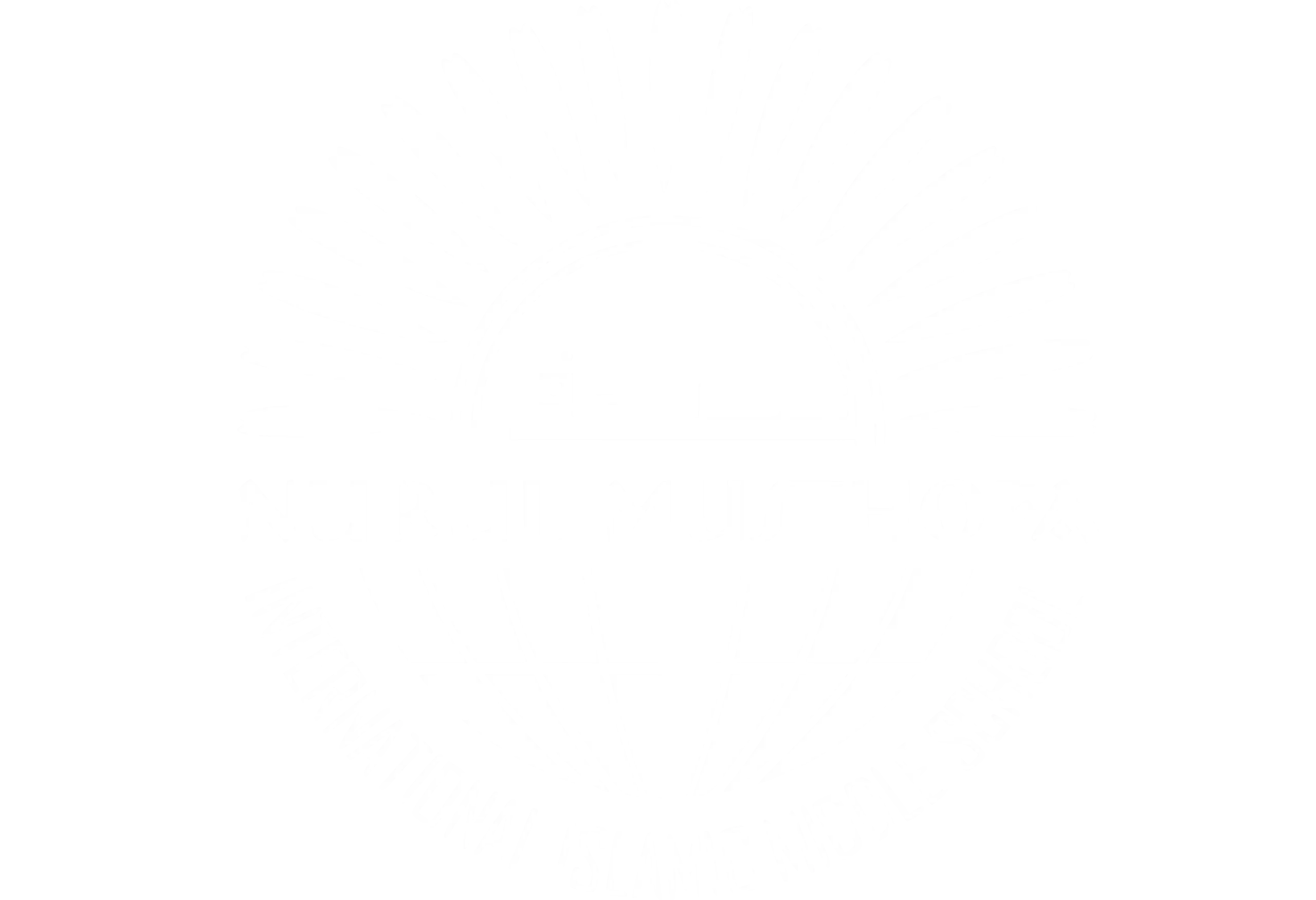 SDII Nurul Musthofa